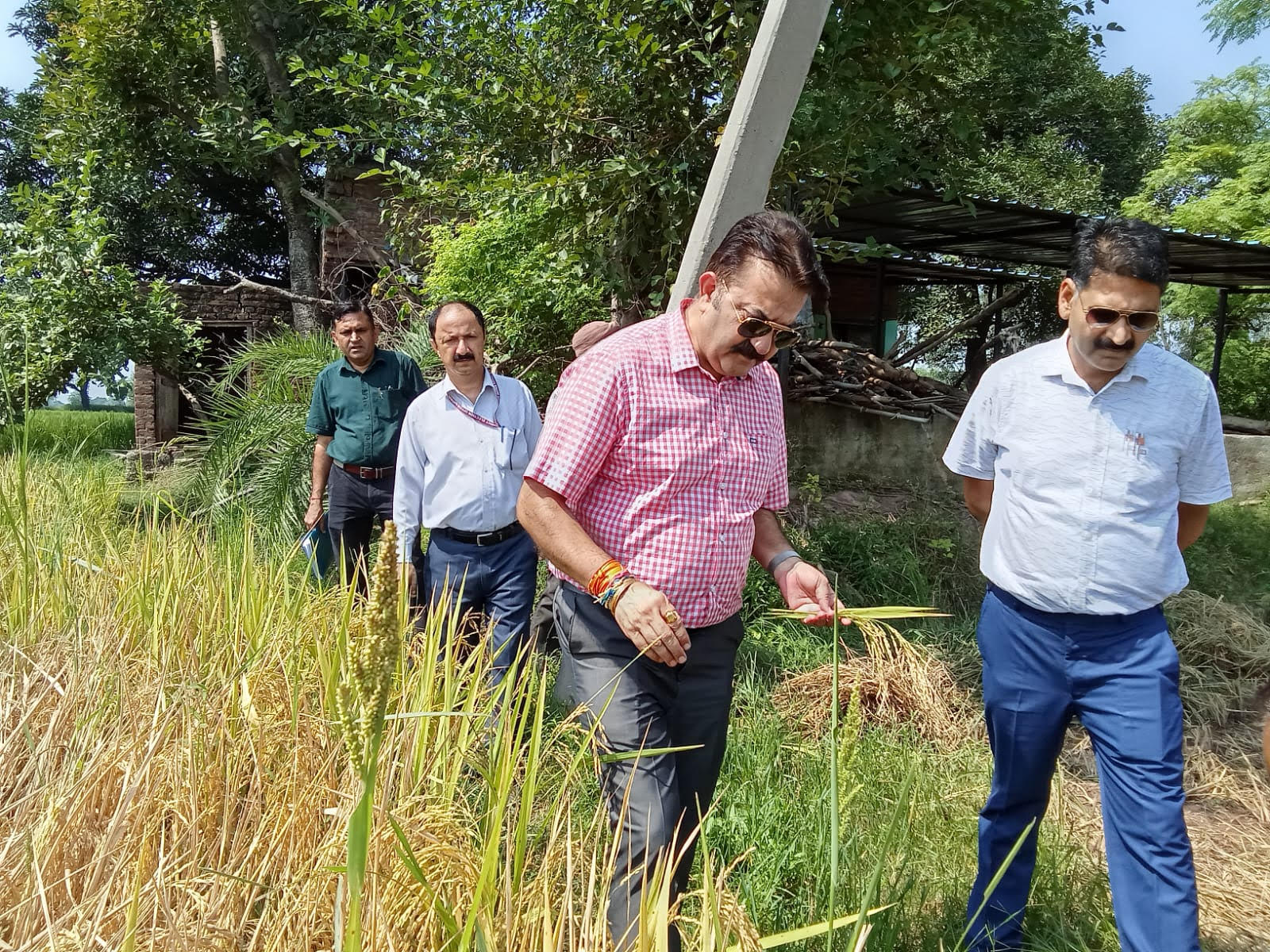 CAO Kathua visited various panchayats of agriculture sub-division Kathua CAO Kathua visited various panchayats of agriculture sub-division Kathua