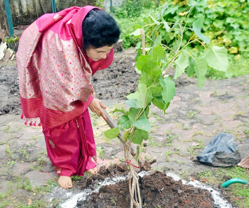मंत्री कृष्णा गौर ने एक पेड़ मां के नाम पौधा लगाया मंत्री कृष्णा गौर ने एक पेड़ मां के नाम पौधा लगाया