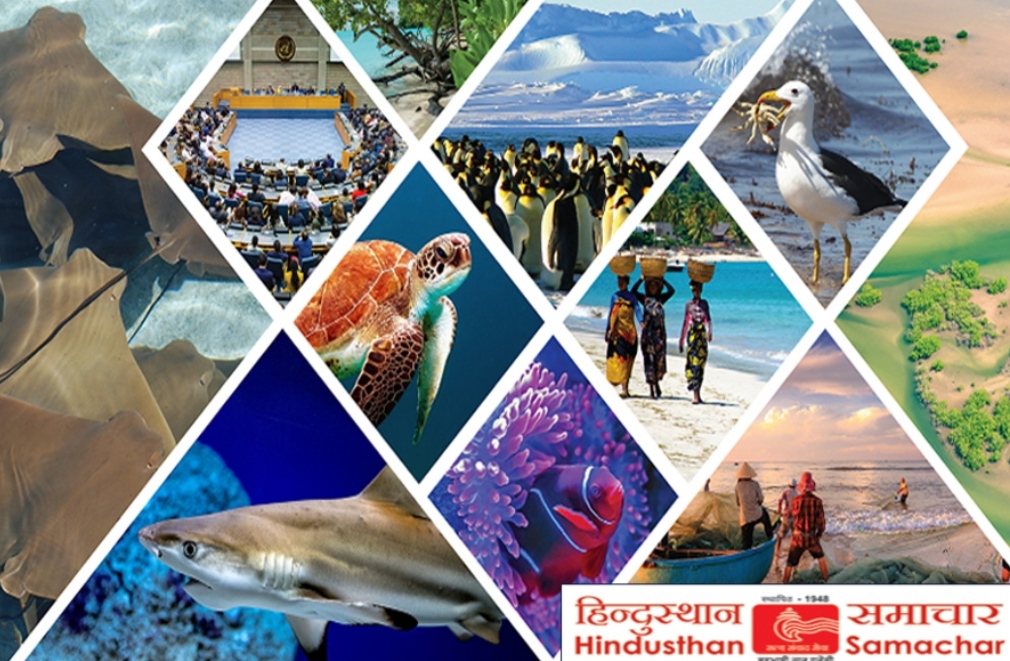 गोडार नदी पुल हादसा : रुद्रप्रयाग-मदमहेश्वर ट्रैक पर फंसे 10 लोग बचाए गए, एसडीआरएफ का रेस्क्यू जारी गोडार नदी पुल हादसा : रुद्रप्रयाग-मदमहेश्वर ट्रैक पर फंसे 10 लोग बचाए गए, एसडीआरएफ का रेस्क्यू जारी