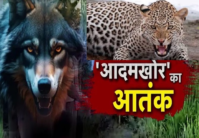 सांकेतिक फाेटाे सांकेतिक फाेटाे
