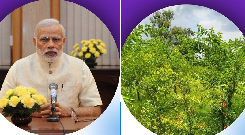 प्रधानमंत्री ने मन की बात कार्यक्रम में की मप्र के ग्राम खौप की स्व-सहायता समूह की महिलाओं की प्रसंशा प्रधानमंत्री ने मन की बात कार्यक्रम में की मप्र के ग्राम खौप की स्व-सहायता समूह की महिलाओं की प्रसंशा