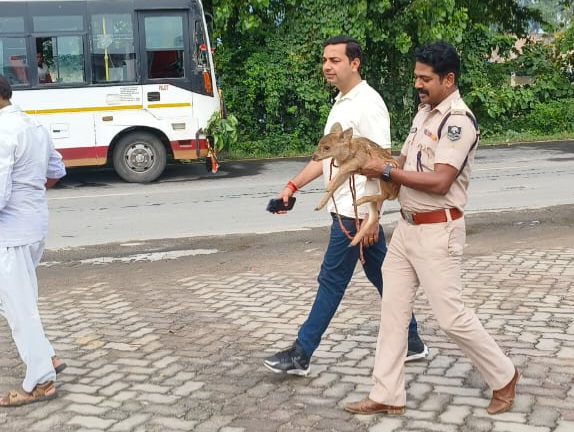 मृग शावक को ले जाते डीएसपी व एसडीओ मृग शावक को ले जाते डीएसपी व एसडीओ