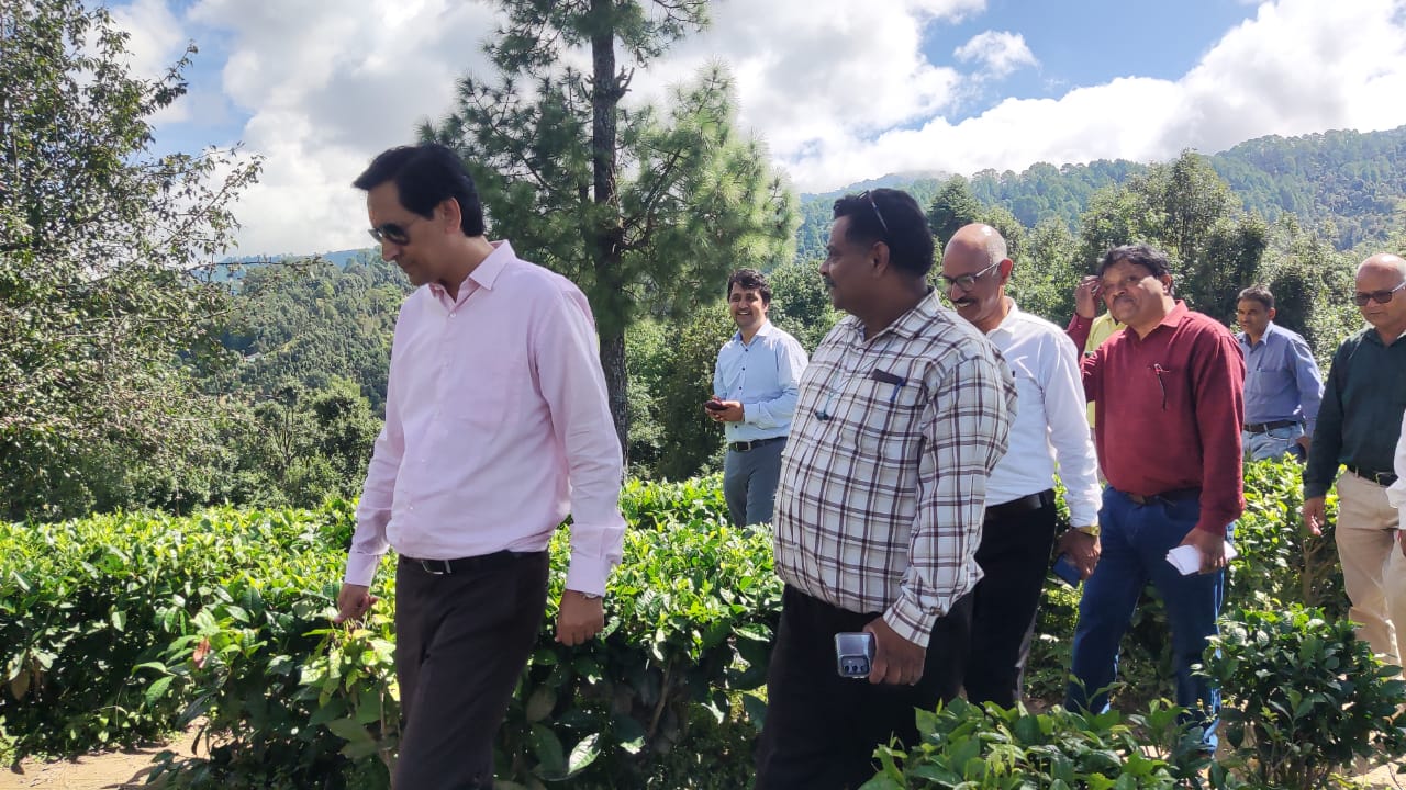 चाय बागान का निरीक्षण करते हुए मंडल आयुक्त