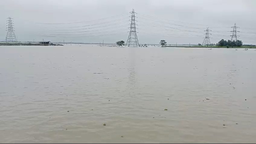 सुहिया में रतुवा नदी के कहर से 13 परिवारों का घर नदी में हुआ विलीन सुहिया में रतुवा नदी के कहर से 13 परिवारों का घर नदी में हुआ विलीन