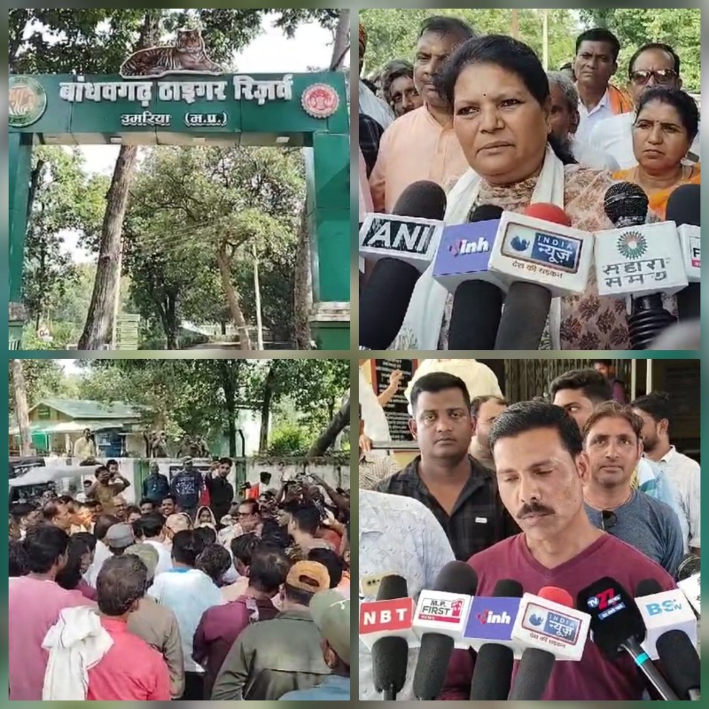 बांधवगढ़ टाइगर रिजर्व का गेट खुलते ही विधायक धरने पर बांधवगढ़ टाइगर रिजर्व का गेट खुलते ही विधायक धरने पर