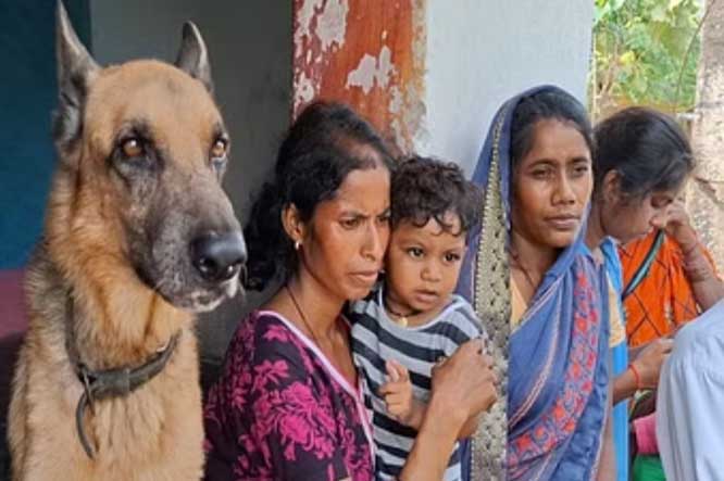 paltu kutta shera & bachhe ke parijan paltu kutta shera & bachhe ke parijan