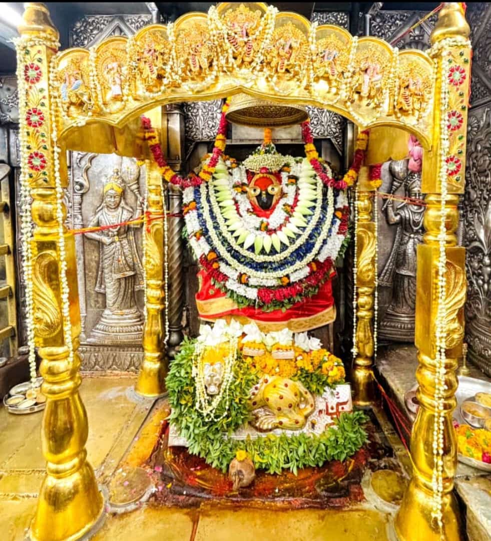 मां विंध्यवासिनी के चरणों में भक्तों ने नवाया शीश, सुख-समृद्धि की कामना मां विंध्यवासिनी के चरणों में भक्तों ने नवाया शीश, सुख-समृद्धि की कामना