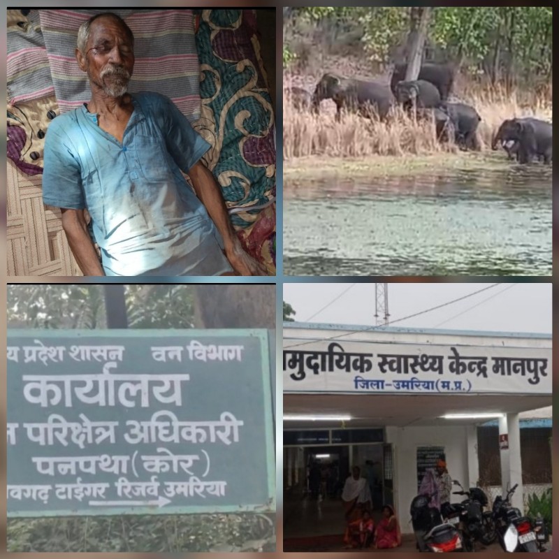 हाथी के हमले से किसान घायल हाथी के हमले से किसान घायल