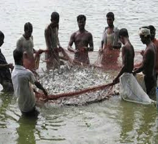 कानपुर: मत्स्य आखेट का दृश्य प्रतीकात्मक छाया कानपुर: मत्स्य आखेट का दृश्य प्रतीकात्मक छाया