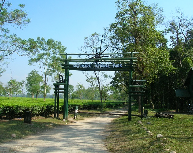 Security of Gorumara and Lataguri forests increased Security of Gorumara and Lataguri forests increased
