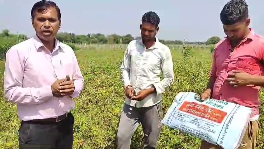 कृषि वैज्ञानिक खेतों और मंडियों में जाकर बता रहे हैं उर्वरक चयन के बारे में कृषि वैज्ञानिक खेतों और मंडियों में जाकर बता रहे हैं उर्वरक चयन के बारे में