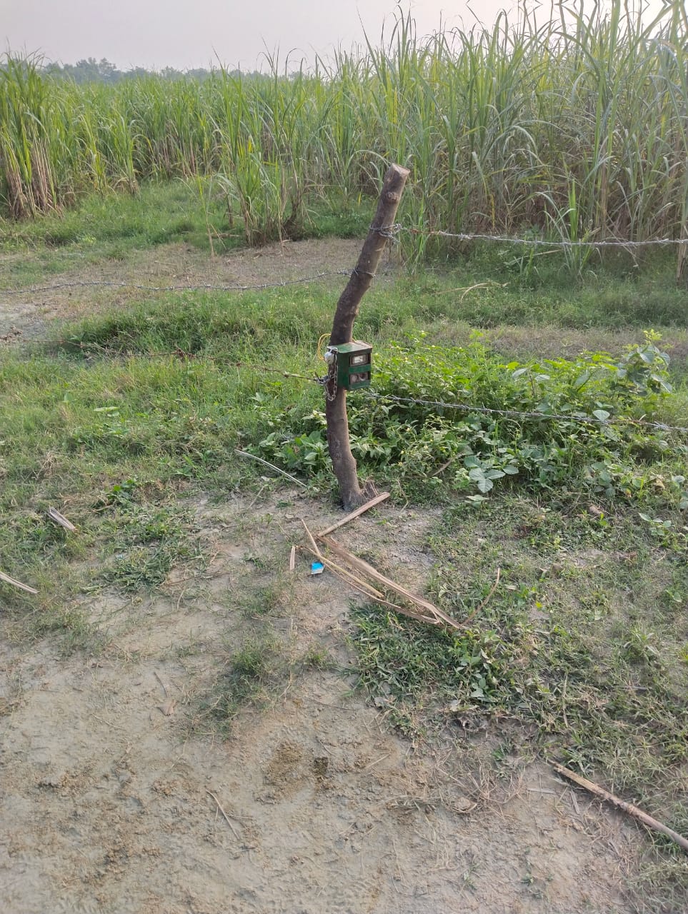 10 वर्षीय बच्चे की मौत के बाद जगा वन विभाग, लगाए पिंजरे व कैमरे 10 वर्षीय बच्चे की मौत के बाद जगा वन विभाग, लगाए पिंजरे व कैमरे