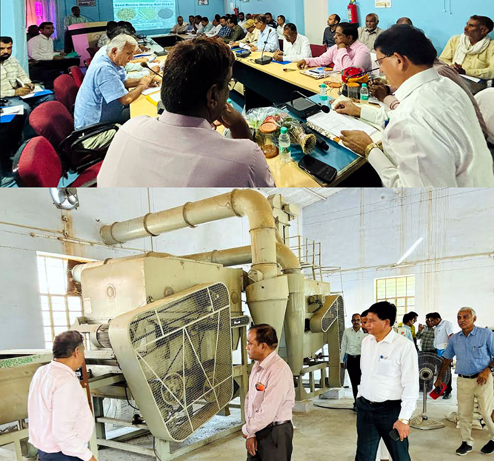 रबी फसल 2024-25 के लिए करीब 2 हजार क्विंटल बीजों का उत्पादन करेगा एसकेआरएयू रबी फसल 2024-25 के लिए करीब 2 हजार क्विंटल बीजों का उत्पादन करेगा एसकेआरएयू