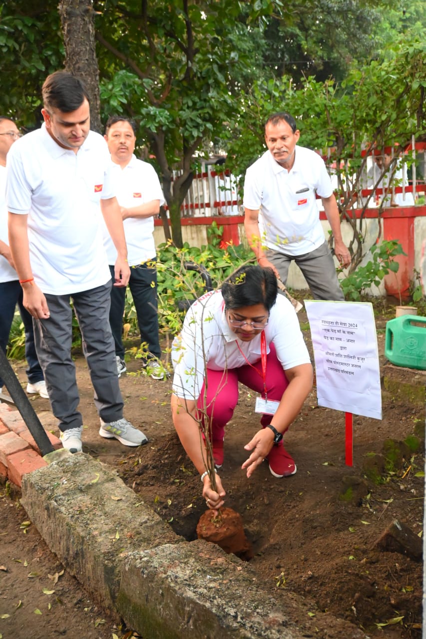 देहरादून जीपीओ परिसर में पौध लगातीं चीफ पोस्टमास्टर जनरल उत्तराखंड शशि शालिनी कुजूर। देहरादून जीपीओ परिसर में पौध लगातीं चीफ पोस्टमास्टर जनरल उत्तराखंड शशि शालिनी कुजूर।