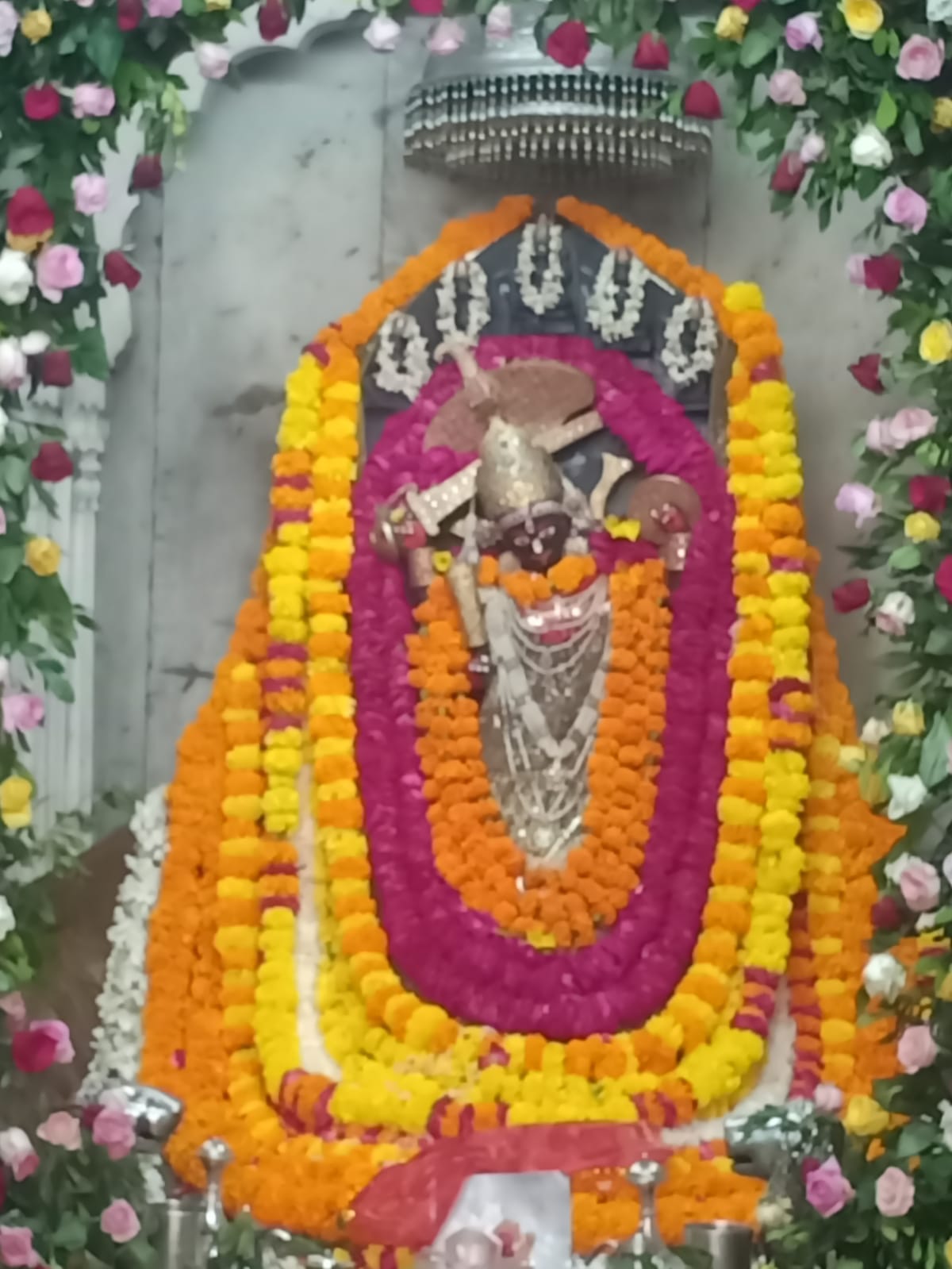 आमेर शिला माता मंदिर में छठ के मेले का आयोजन आमेर शिला माता मंदिर में छठ के मेले का आयोजन