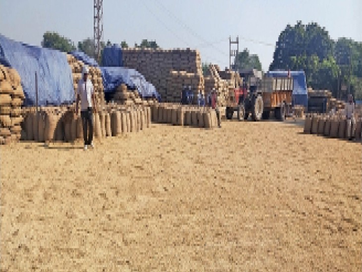 अनाज मंड़ी फोटो अनाज मंड़ी फोटो