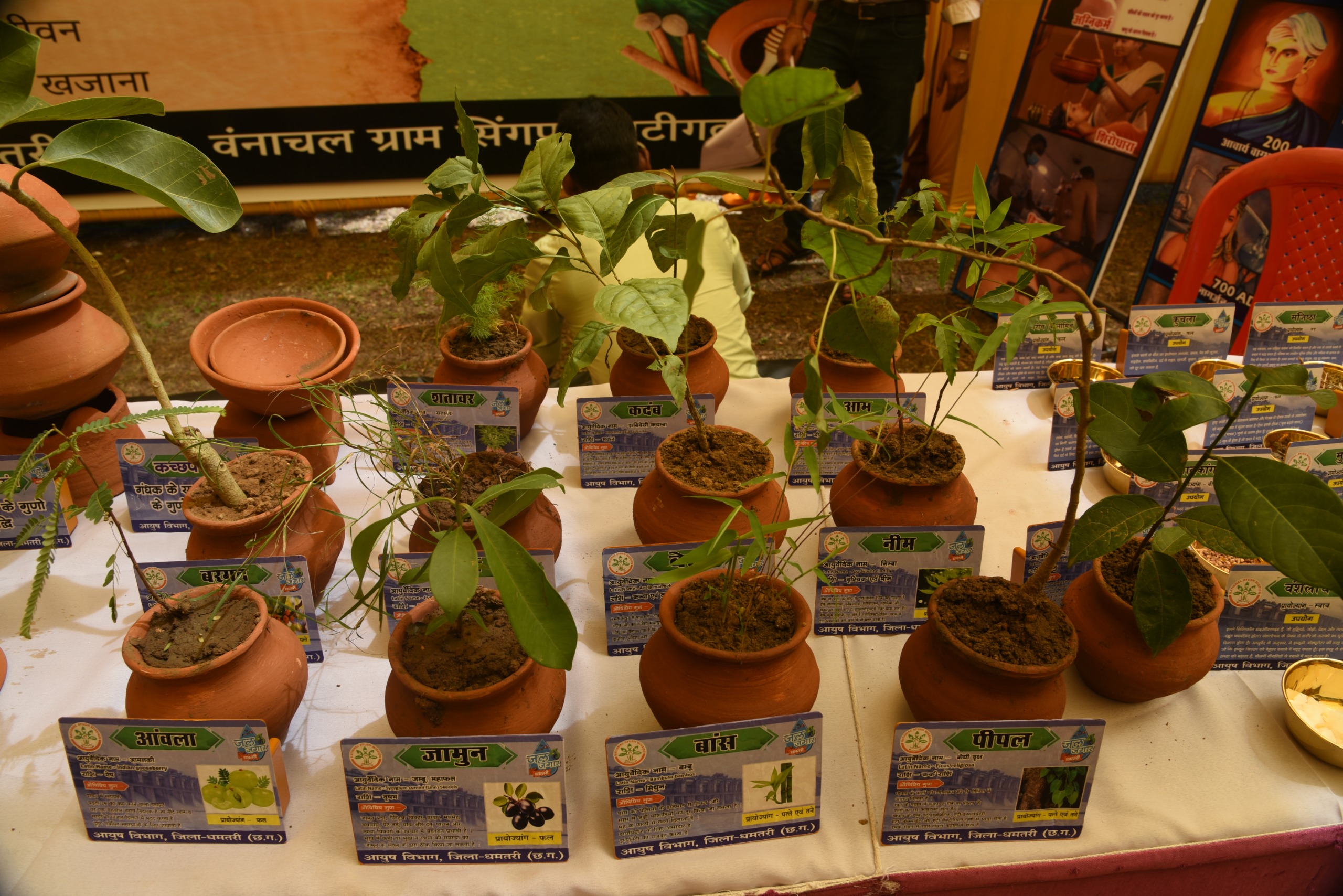 आयुष विभाग द्वारा लगाई गई प्रदर्शनी में विभिन्न पात्रों में रखे गए आयुर्वेदिक पौधे। आयुष विभाग द्वारा लगाई गई प्रदर्शनी में विभिन्न पात्रों में रखे गए आयुर्वेदिक पौधे।