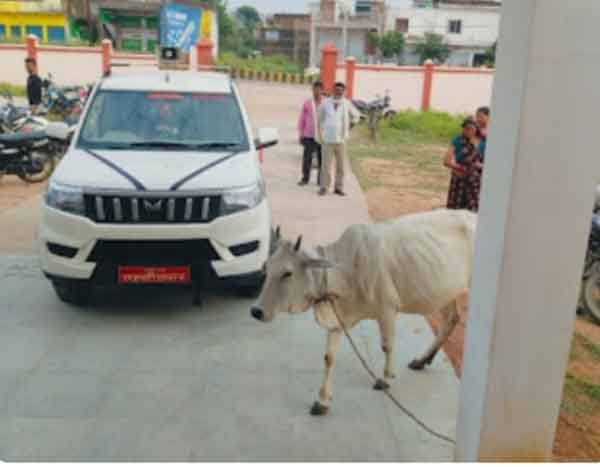 टीकमगढ़ : 50 हजार की रिश्वत नही थी ताे गांय लेकर एसडीएम दफ्तर पहुंची महिला टीकमगढ़ : 50 हजार की रिश्वत नही थी ताे गांय लेकर एसडीएम दफ्तर पहुंची महिला