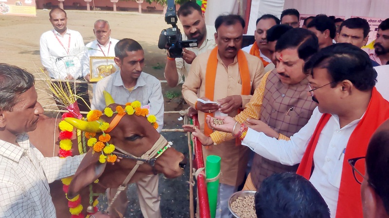 गौ-शाला में किया गौ-पूजन गौ-शाला में किया गौ-पूजन