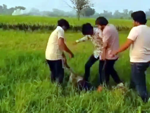युवक के साथ मारपीट करते हुए आरोपी। युवक के साथ मारपीट करते हुए आरोपी।