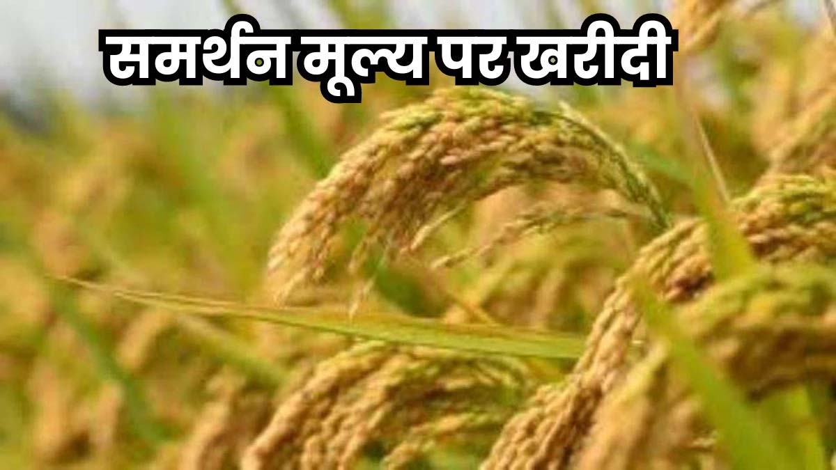समर्थन मूल्य पर धान एवं मक्का की खरीद समर्थन मूल्य पर धान एवं मक्का की खरीद