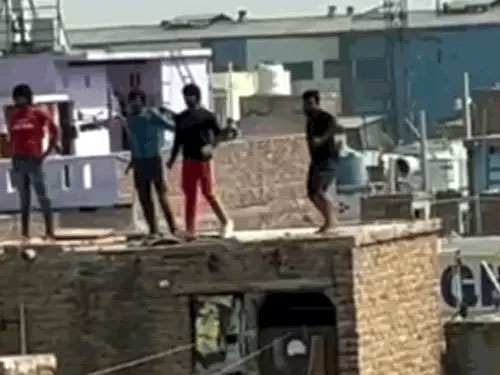 छत से पत्थरबाजी करते आरोपी छत से पत्थरबाजी करते आरोपी
