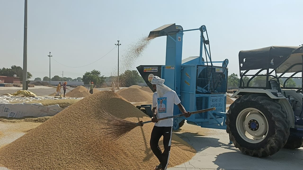 अतिरिक्त मंडी में आई पीआर धान की फसल। अतिरिक्त मंडी में आई पीआर धान की फसल।