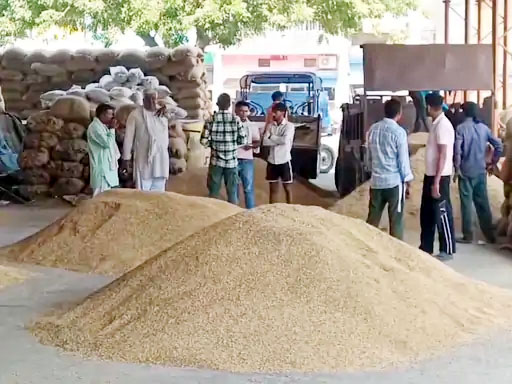 बल्लभगढ़ मंडी में पड़ी धान की फसल मौजूद किसान। बल्लभगढ़ मंडी में पड़ी धान की फसल मौजूद किसान।