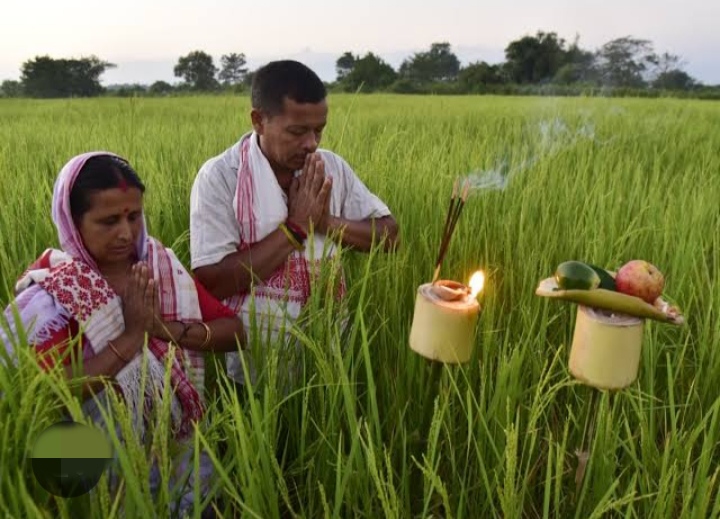 गुवाहाटी: काति बिहू के अवसर पर धान के खेत में दीया जलाकर उपासना कर रहे गृहस्थ दंपति की तस्वीर। गुवाहाटी: काति बिहू के अवसर पर धान के खेत में दीया जलाकर उपासना कर रहे गृहस्थ दंपति की तस्वीर।