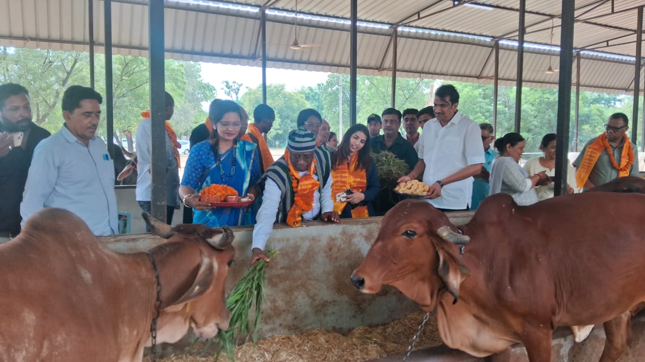 साउथ अफ्रीका के माइनिंग मिनिस्टर ने जैविक वन औषधीय पार्क का किया भ्रमण व अवलोकन साउथ अफ्रीका के माइनिंग मिनिस्टर ने जैविक वन औषधीय पार्क का किया भ्रमण व अवलोकन