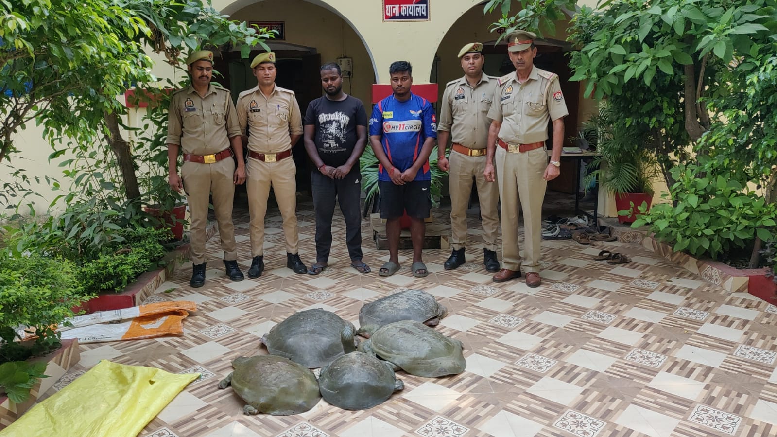 कछुओ की तस्करी कर रहे दो तस्कर गिरफ्तार, पांच कछुए बरामद कछुओ की तस्करी कर रहे दो तस्कर गिरफ्तार, पांच कछुए बरामद