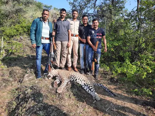 मदार गांव में शूटआउट के बाद लेपर्ड की बॉडी के साथ पुलिस के जवान। मदार गांव में शूटआउट के बाद लेपर्ड की बॉडी के साथ पुलिस के जवान।