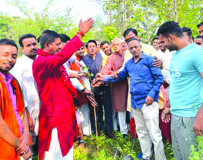 पौधारोपण करते हुए पौधारोपण करते हुए