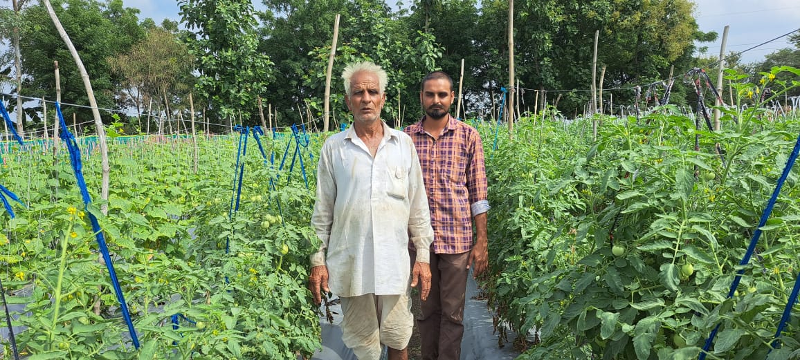 चित्तौड़गढ़ जिले में जिंक की समाधान योजना के तहत उन्नत खेती करने वाले पिता-पुत्र। चित्तौड़गढ़ जिले में जिंक की समाधान योजना के तहत उन्नत खेती करने वाले पिता-पुत्र।