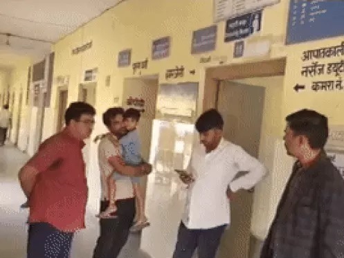 मधुमक्खियों का हमला मधुमक्खियों का हमला