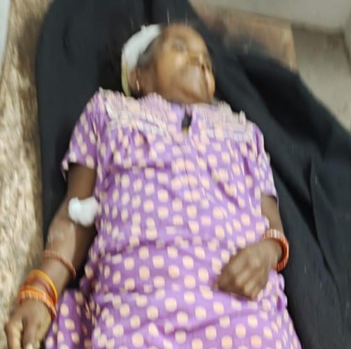 मृतक महिला का शव मृतक महिला का शव