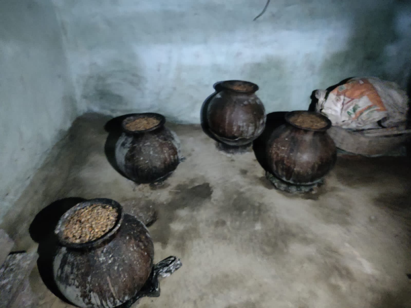 जब्त जावा महुआ जब्त जावा महुआ