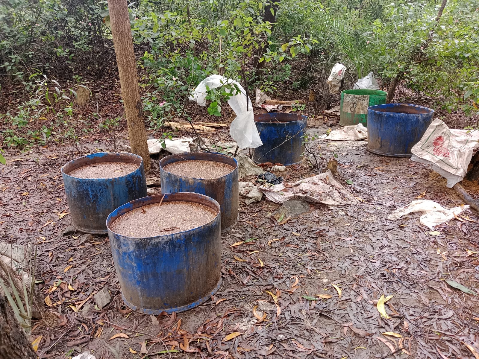 जब्त जावा महुआ जब्त जावा महुआ