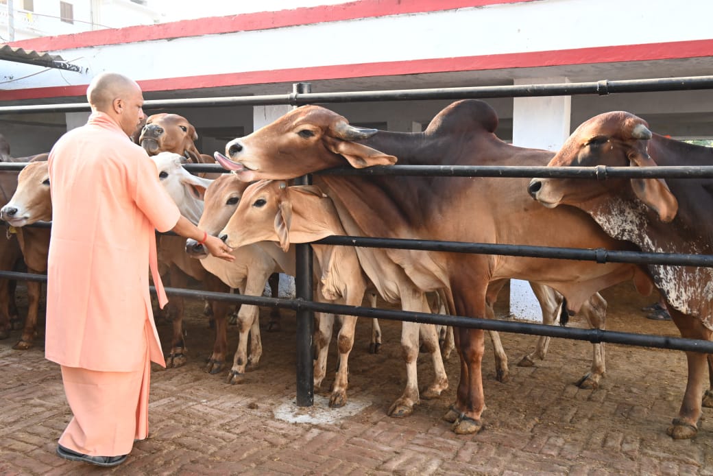*किसी को चिंता करने की जरूरत नहीं, हर समस्या का कराएंगे प्रभावी निस्तारण : सीएम योगी* *किसी को चिंता करने की जरूरत नहीं, हर समस्या का कराएंगे प्रभावी निस्तारण : सीएम योगी*