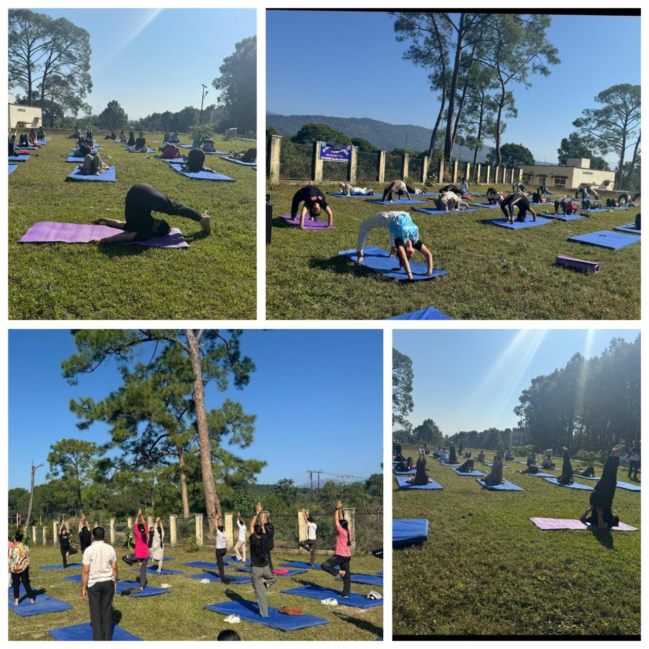 NSS unit of GDC Mahanpur organized yoga session NSS unit of GDC Mahanpur organized yoga session