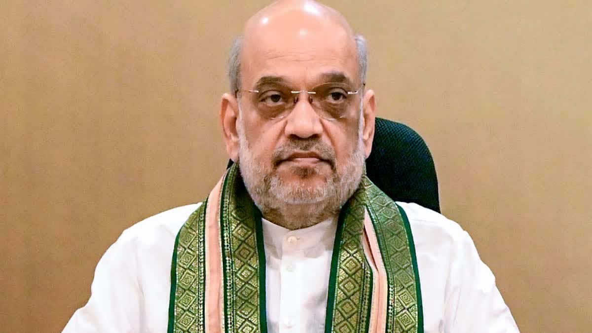 अमित शाह फाइल फाेटाे अमित शाह फाइल फाेटाे