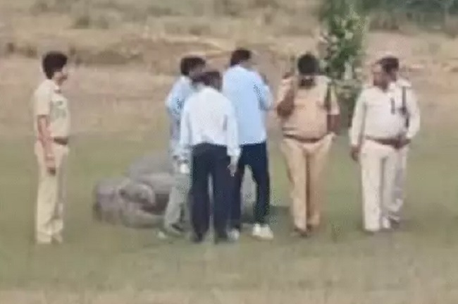 बांधवगढ़ टाइगर रिजर्व में हाथियों की संदिग्ध मौत के बाद पहुंची टीम बांधवगढ़ टाइगर रिजर्व में हाथियों की संदिग्ध मौत के बाद पहुंची टीम