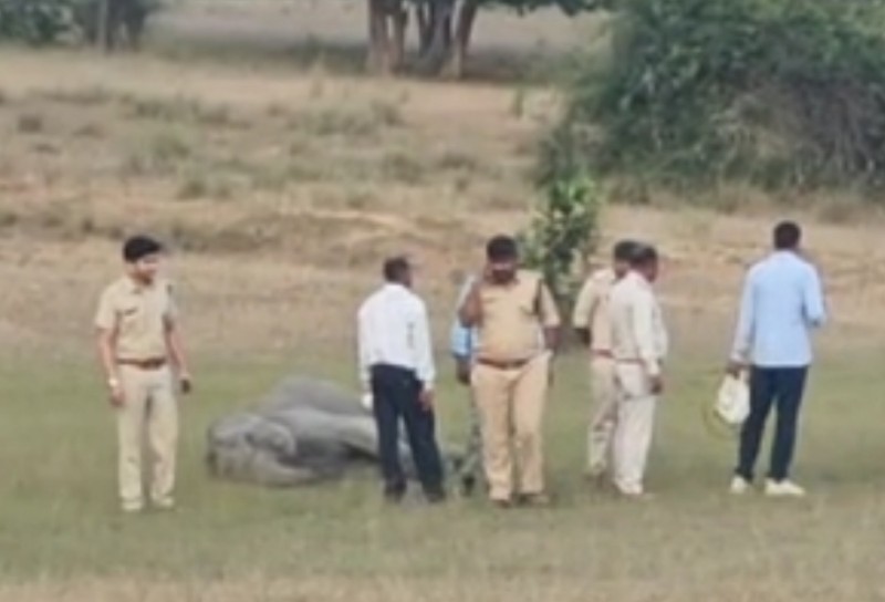 4 जंगली हाथियों की संदिग्ध परिस्थितियों में मौत 8 बीमार