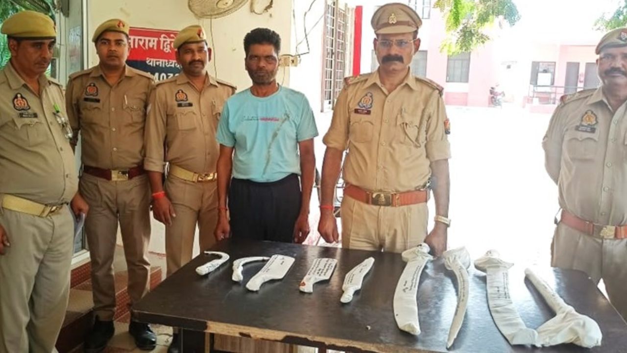 ताइक्वांडो खिलाड़ी अनुराग यादव के दो हत्यारे लखनऊ से गिरफ्तार बाल अपचारी व हत्या में प्रयुक्त सामान ताइक्वांडो खिलाड़ी अनुराग यादव के दो हत्यारे लखनऊ से गिरफ्तार बाल अपचारी व हत्या में प्रयुक्त सामान