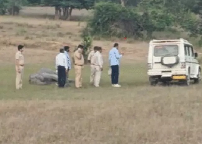 बांधवगढ़ टाइगर रिजर्व में हाथियों की मौत बांधवगढ़ टाइगर रिजर्व में हाथियों की मौत