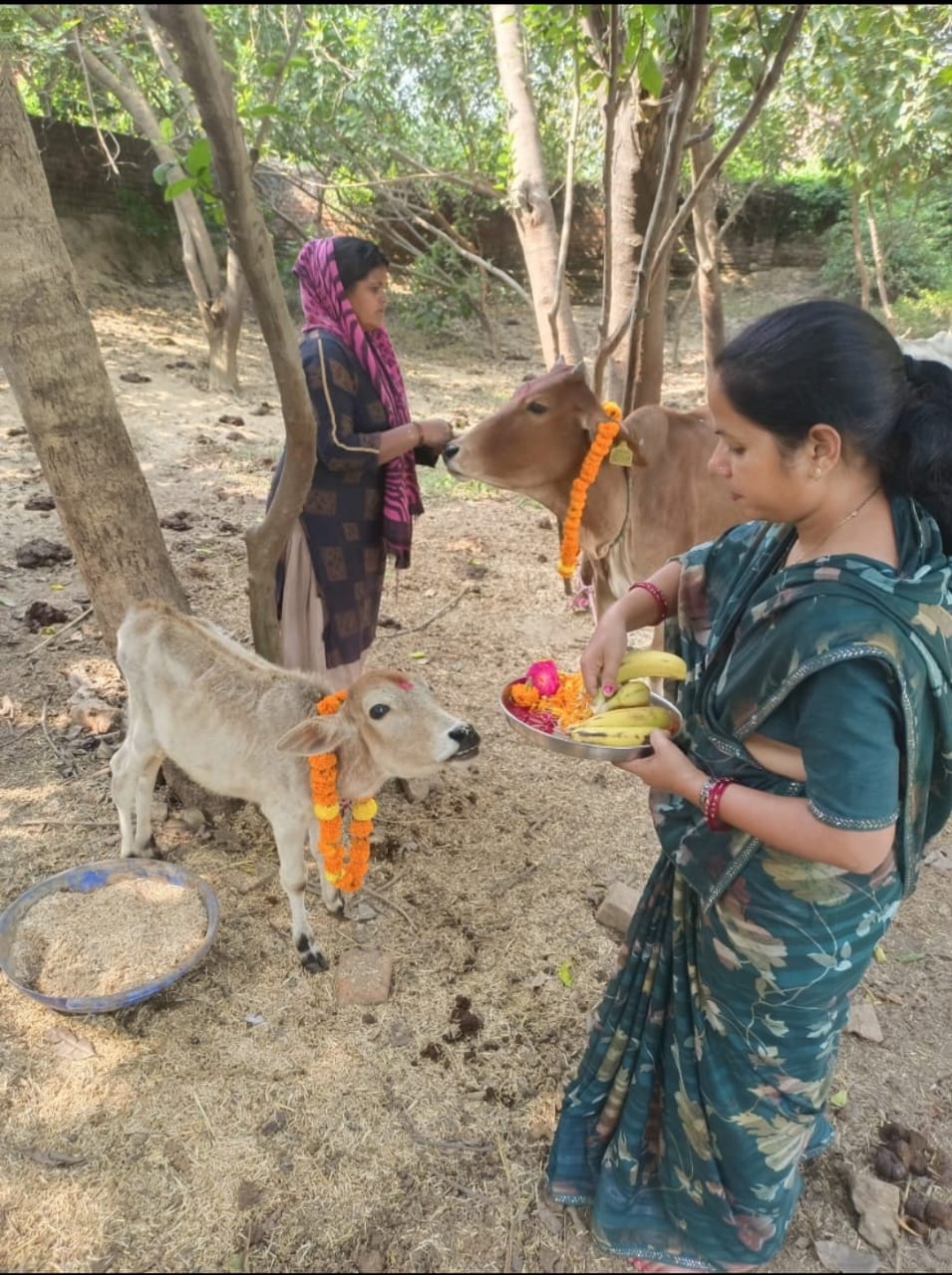 गोआश्रय स्थल पर पूजा करते भक्त गोआश्रय स्थल पर पूजा करते भक्त
