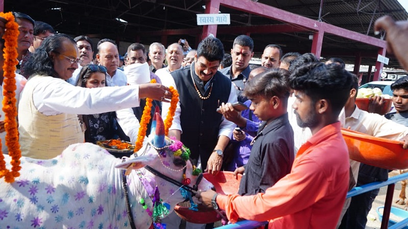 गोवर्धन पूजन एवं गौ पूजा कार्यक्रम में शामिल हुए मंत्री राजपूत