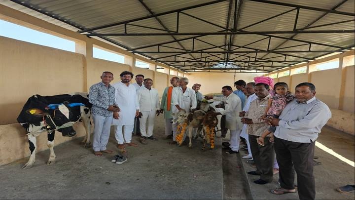 गोविंद गौशाला टाकुन का शुभारंभ