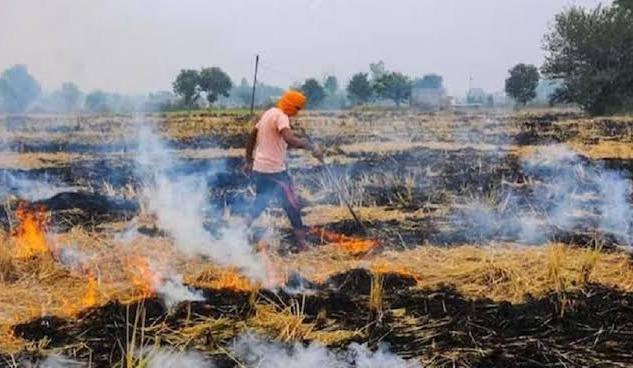 खेतों में जली पराली तो किसान को देना होगा अर्थदंड खेतों में जली पराली तो किसान को देना होगा अर्थदंड
