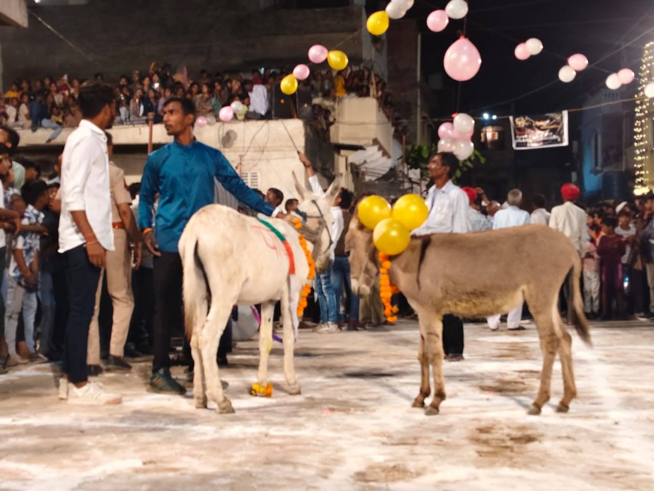 भीलवाड़ा के मांडल में अनोखी परंपरा- दीपावली के बाद कुम्हार समाज ने की गधों की पूजा 5 भीलवाड़ा के मांडल में अनोखी परंपरा- दीपावली के बाद कुम्हार समाज ने की गधों की पूजा 5